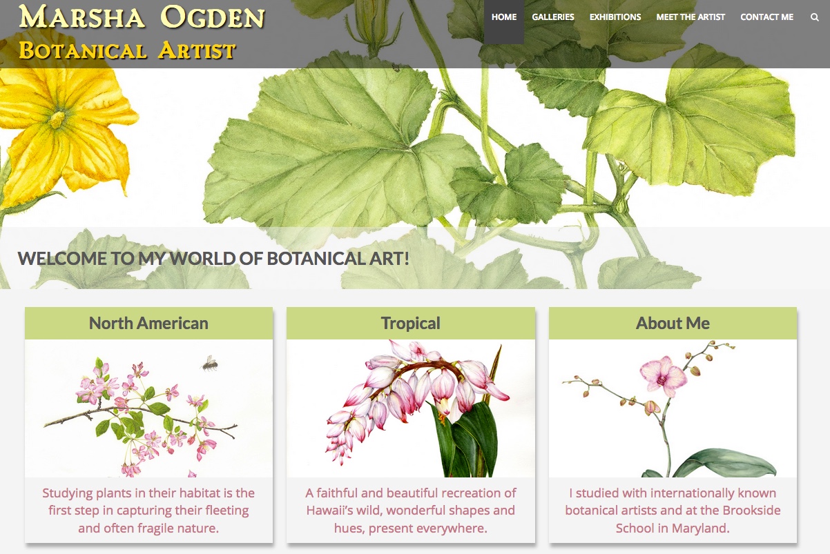 Image of botanicalartstudio.com